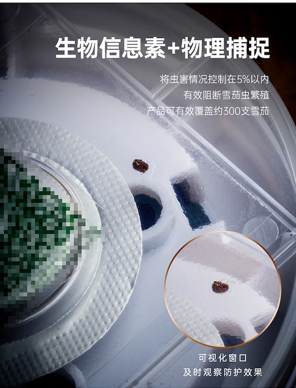 Lubinski 魯賓斯基 「Lubinski 台灣經銷商」泰因諾人 雪茄房櫃保濕盒用 煙雪茄蟲誘捕器|Capadura| 保養 · 濕度|W Cigar Shop 雪茄配件 商品詳情 3