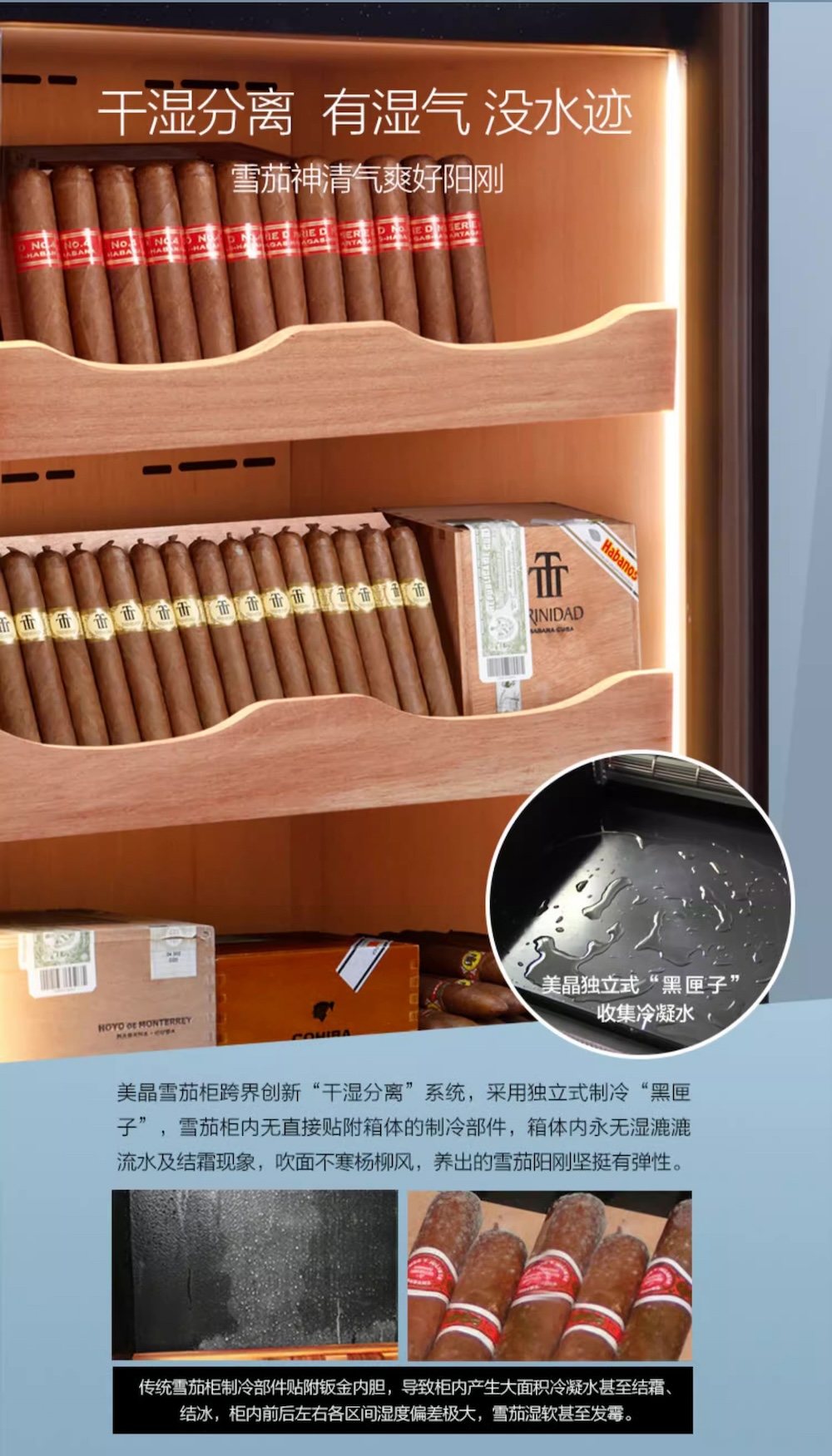 Raching 美晶 C150A 恆溫恆濕雪松木雪茄櫃 保濕櫃 · 恆溫箱|W Cigar Shop 雪茄配件 商品詳情 15