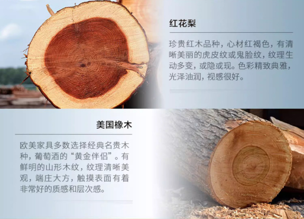 Raching 美晶 W380A-MC 智慧WIFI紅酒櫃 紅酒櫃｜W Cigar Shop 雪茄配件 商品詳情 15