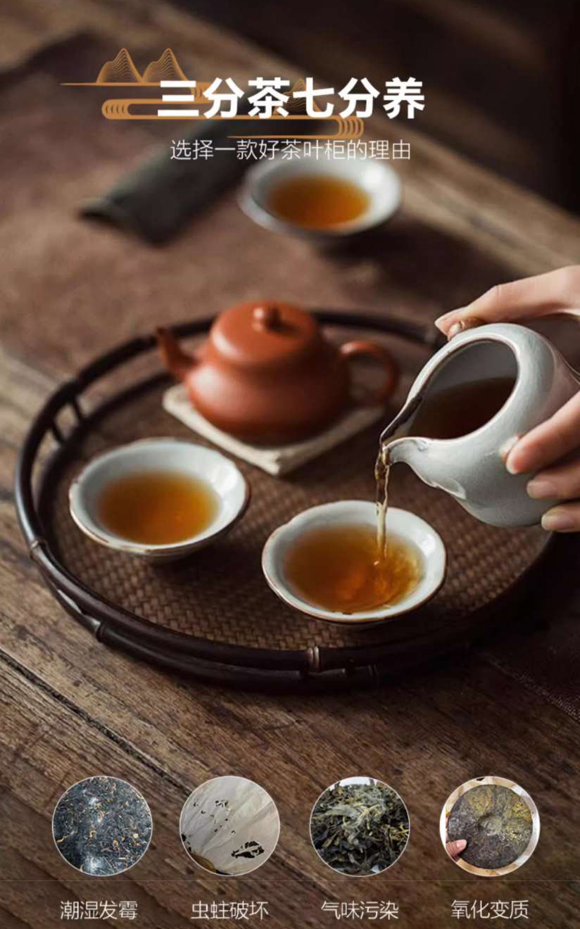Raching 美晶 茶葉櫃 恆溫恆濕 保濕櫃 · 恆溫箱|W Cigar Shop 雪茄配件 商品詳情 10
