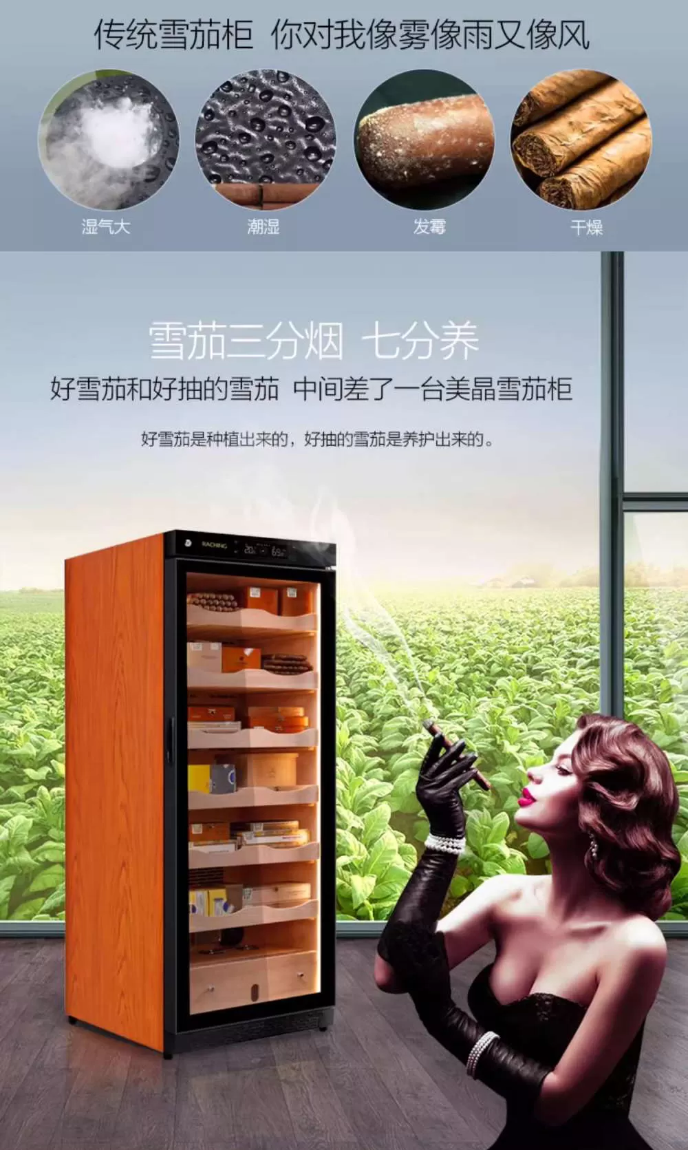 Raching 美晶 C330A 恆溫恆濕雪松實木櫃 保濕櫃 · 恆溫箱|W Cigar Shop 雪茄配件 商品詳情 7