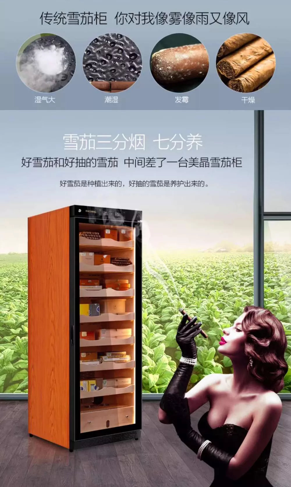 Raching 美晶 C380A 雪松實木雪茄盒 保濕櫃 · 恆溫箱｜W Cigar Shop 雪茄配件 商品詳情 7