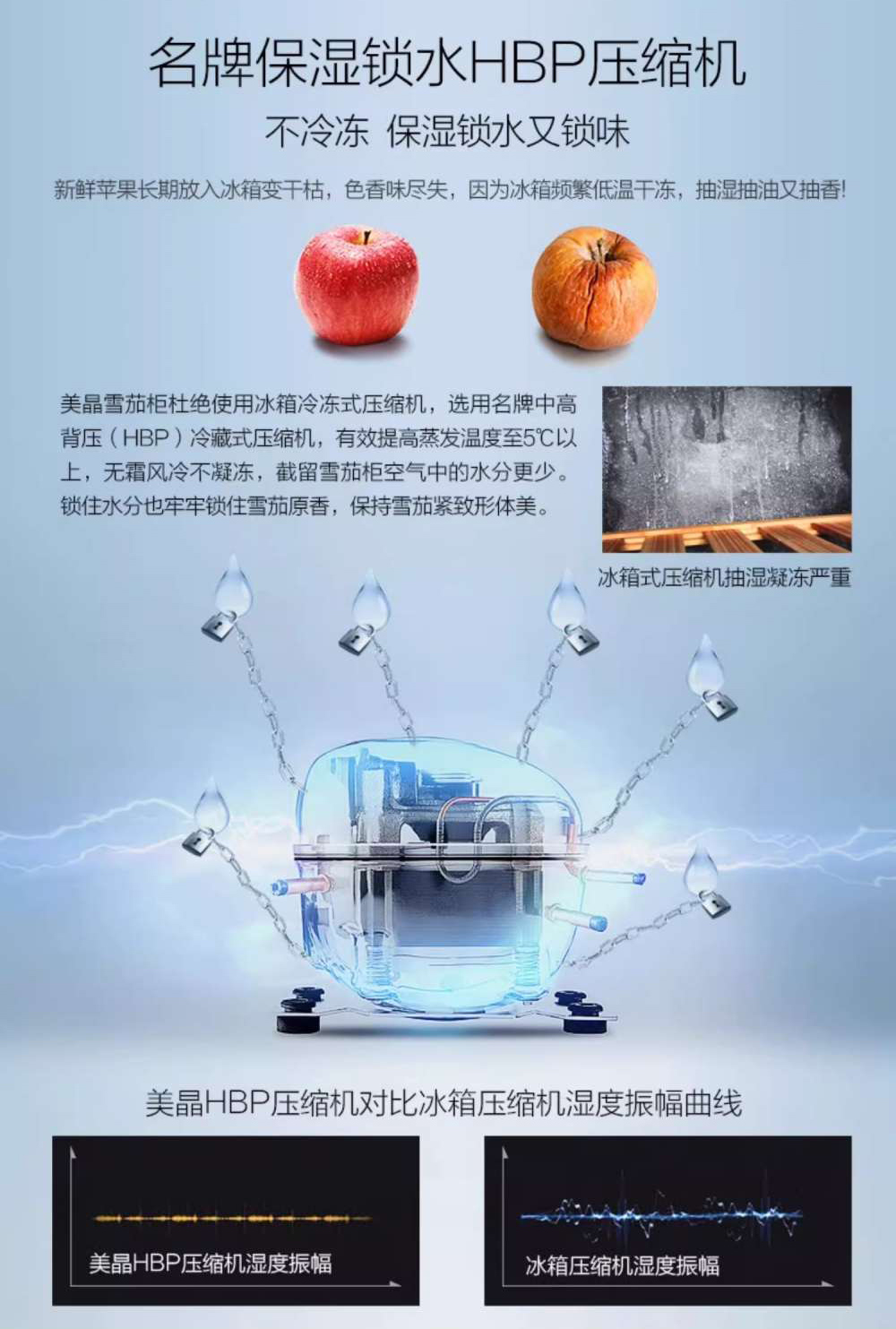 Raching 美晶 C380A 雪松實木雪茄盒 保濕櫃 · 恆溫箱｜W Cigar Shop 雪茄配件 商品詳情 12