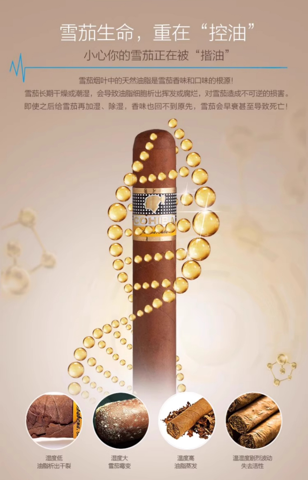 Raching 美晶 MON1800A 智慧雪茄保濕櫃 保濕櫃 · 恆溫箱|W Cigar Shop 雪茄配件 商品詳情 7