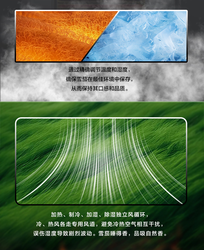 Raching 美晶 雙門不鏽鋼箱體 雪茄櫃 606LDD650C 保濕櫃 · 恆溫箱|W Cigar Shop 雪茄配件 商品詳情 6