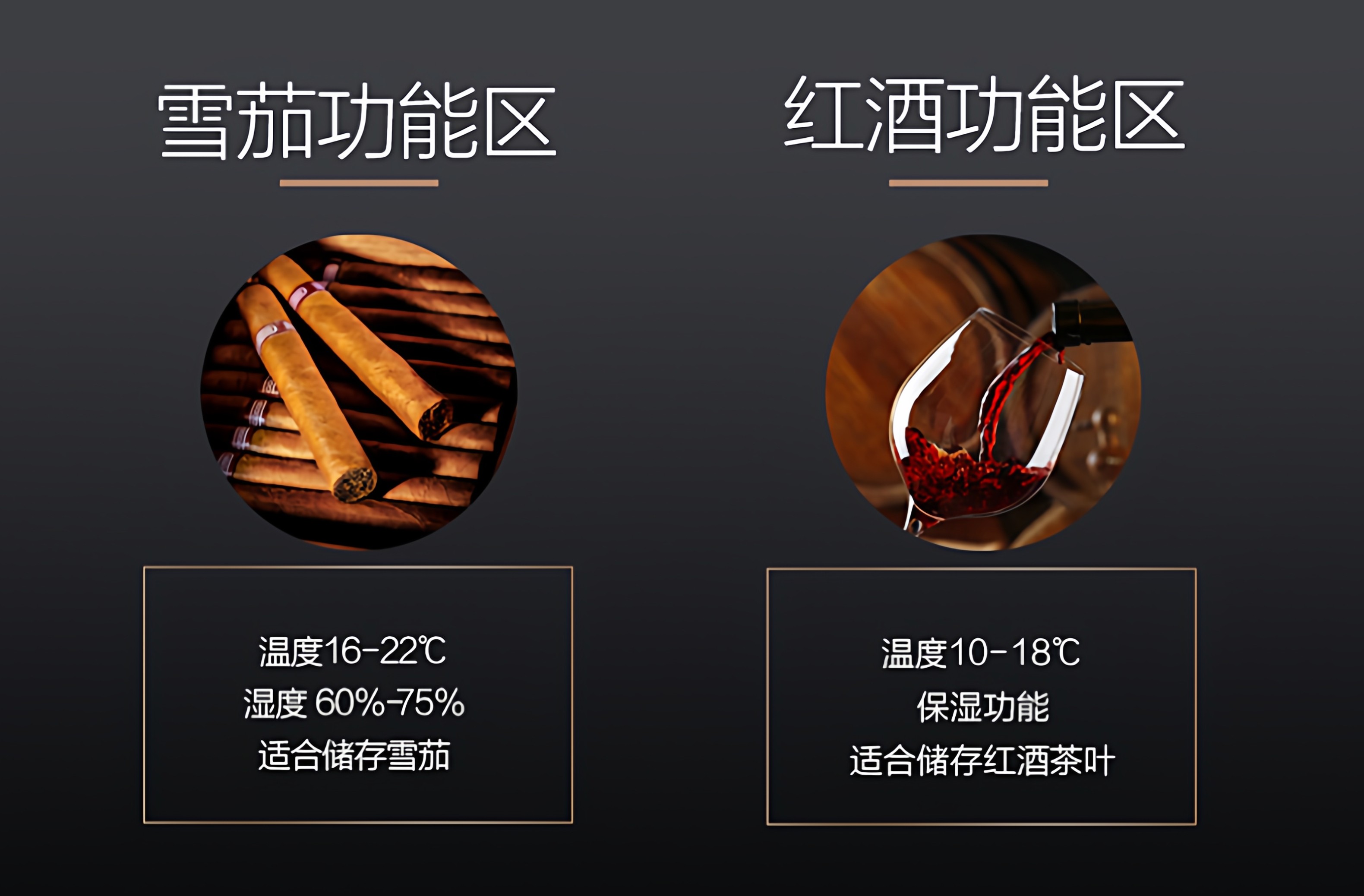 Raching 美晶 雪茄紅酒一體櫃 雙門雙溫區 保濕櫃 · 恆溫箱|W Cigar Shop 雪茄配件 商品詳情 6