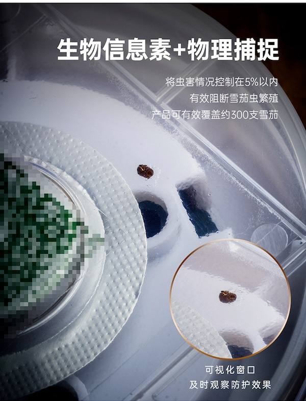 Lubinski 魯賓斯基 「Lubinski 台灣經銷商」泰因諾人 雪茄房櫃保濕盒用 煙雪茄蟲誘捕器｜Capadura｜ 保養 · 濕度｜W Cigar Shop 雪茄配件 商品詳情 3