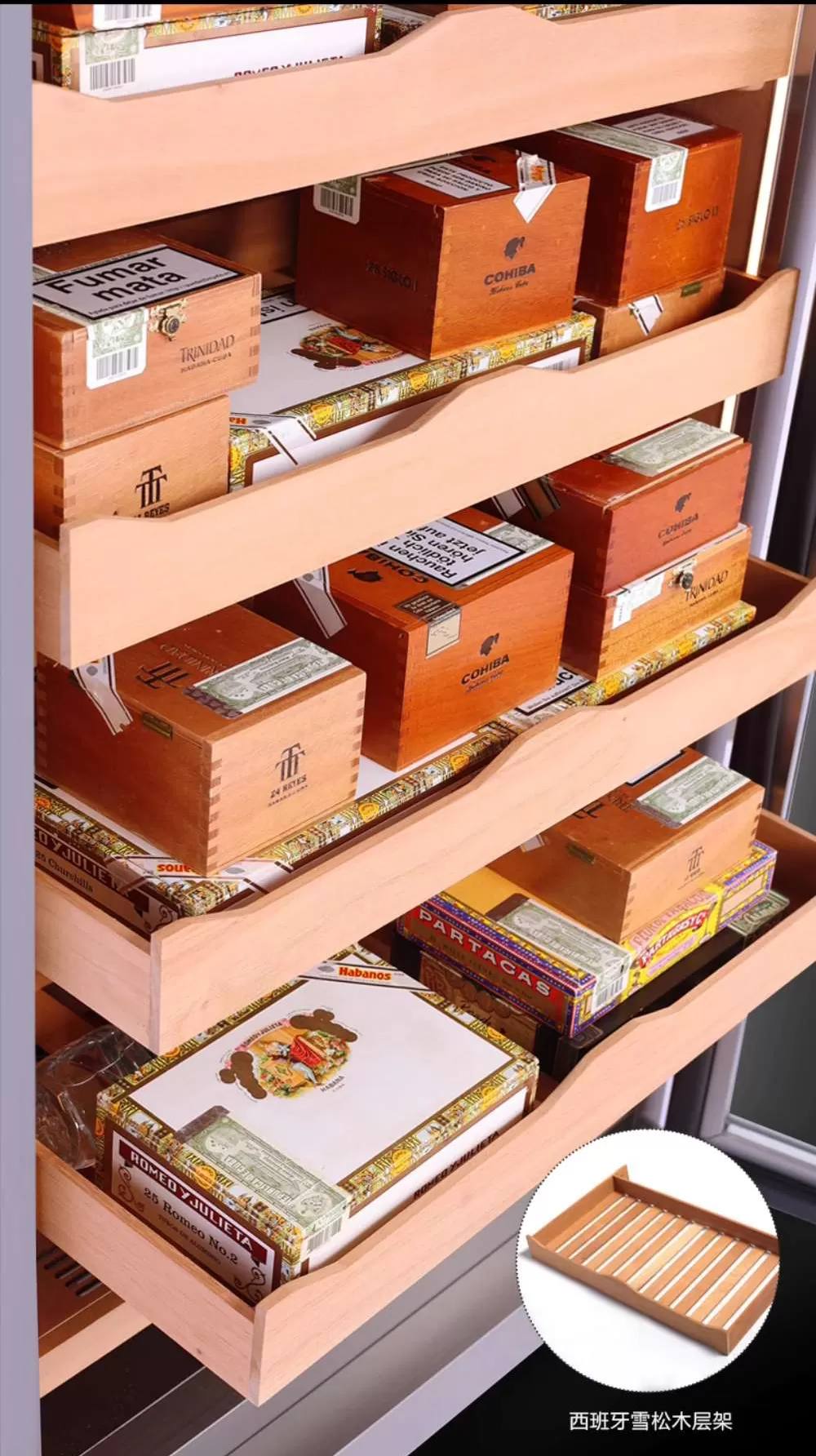 Raching 美晶 W23A 不鏽鋼雪茄櫃 保濕櫃 · 恆溫箱|W Cigar Shop 雪茄配件 商品詳情 15