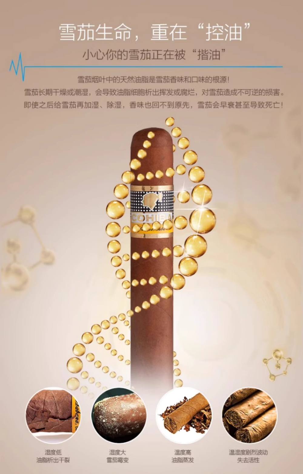 Raching 美晶 MON1800A 智慧雪茄保濕櫃 保濕櫃 · 恆溫箱|W Cigar Shop 雪茄配件 商品詳情 7