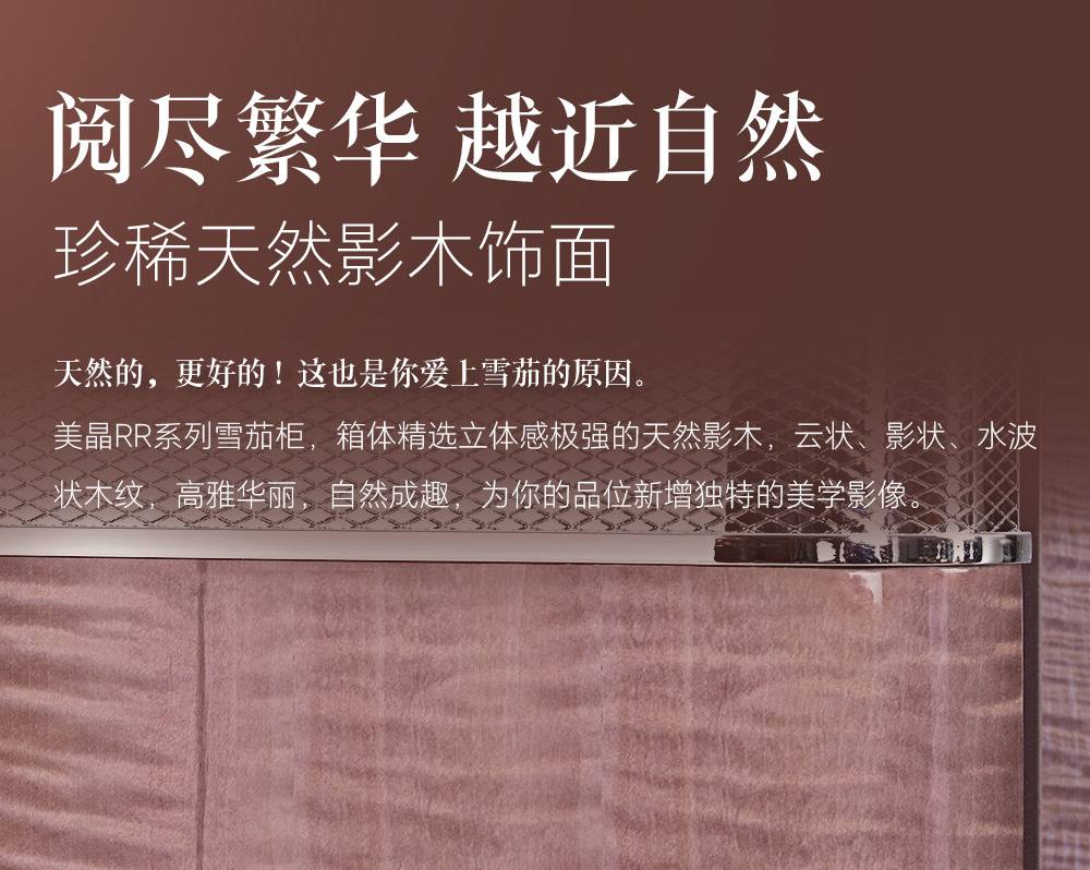 Raching 美晶 RR880 WIFI 智慧保濕雪茄櫃 保濕櫃 · 恆溫箱|W Cigar Shop 雪茄配件 商品詳情 9